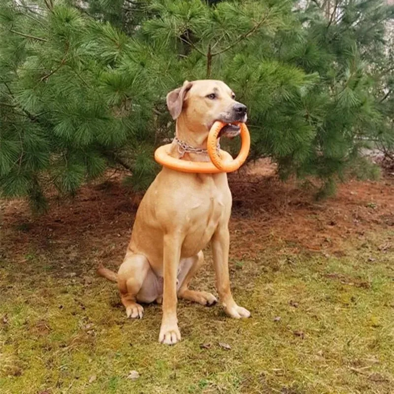 4-IN-1 INDESTRUCTIBLE DOG RING TOY