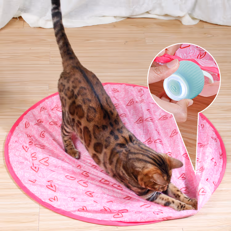 2 in 1 Simulated Interactive hunting cat toy